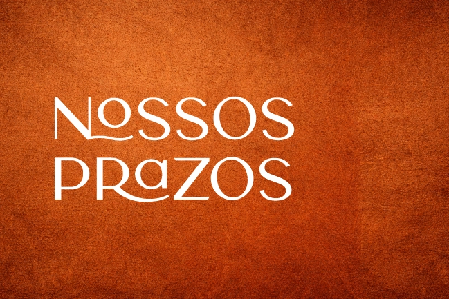 Por que o prazo é de aproximadamente 20 dias úteis?